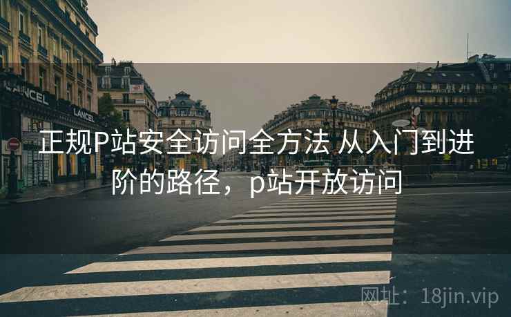 正规P站安全访问全方法 从入门到进阶的路径，p站开放访问