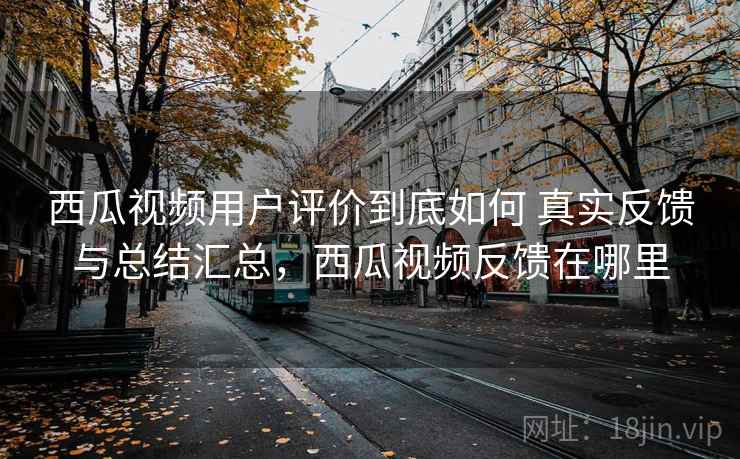 西瓜视频用户评价到底如何 真实反馈与总结汇总，西瓜视频反馈在哪里