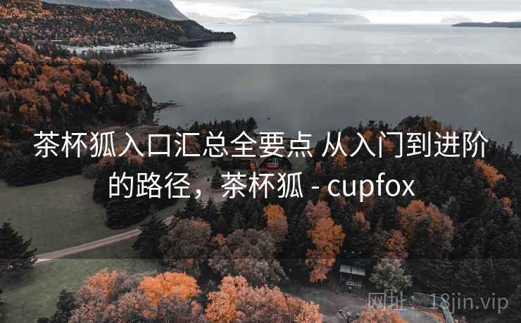 茶杯狐入口汇总全要点 从入门到进阶的路径，茶杯狐 - cupfox