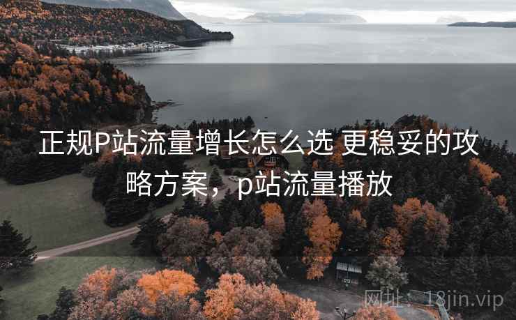 正规P站流量增长怎么选 更稳妥的攻略方案，p站流量播放