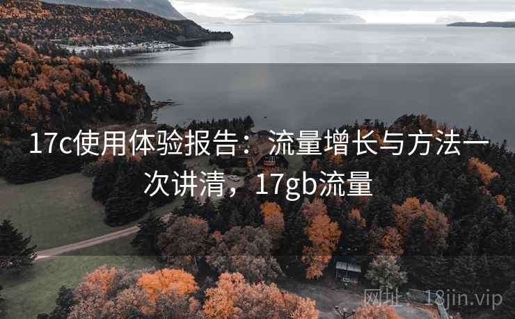 17c使用体验报告：流量增长与方法一次讲清，17gb流量