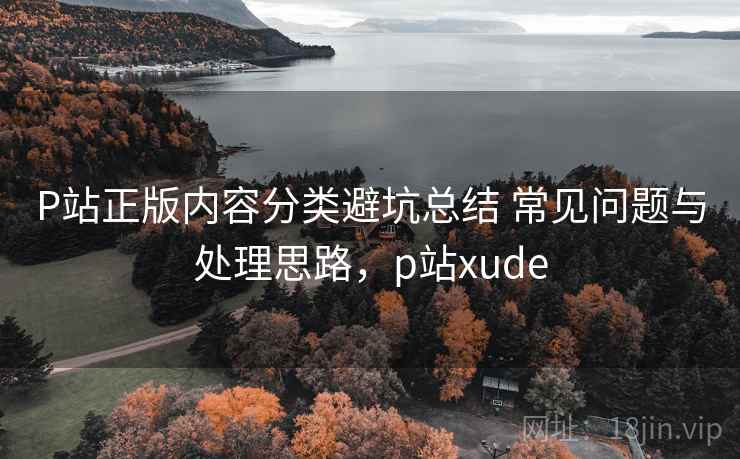 P站正版内容分类避坑总结 常见问题与处理思路，p站xude