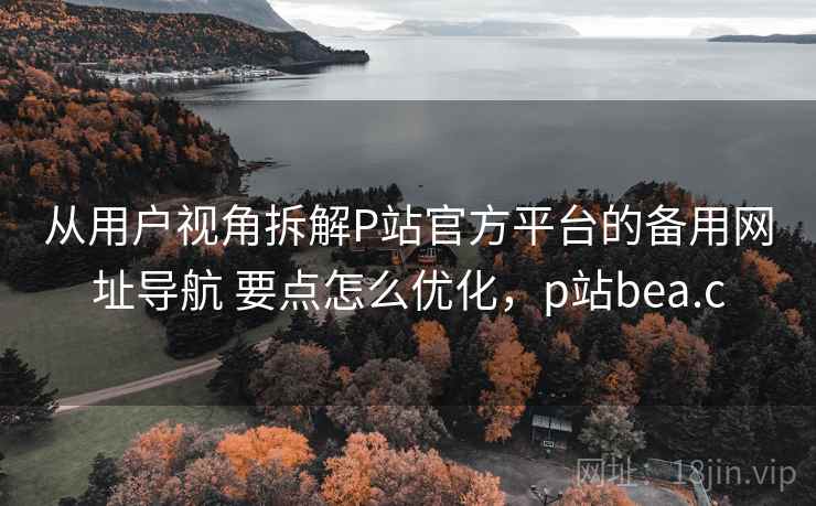 从用户视角拆解P站官方平台的备用网址导航 要点怎么优化，p站bea.c