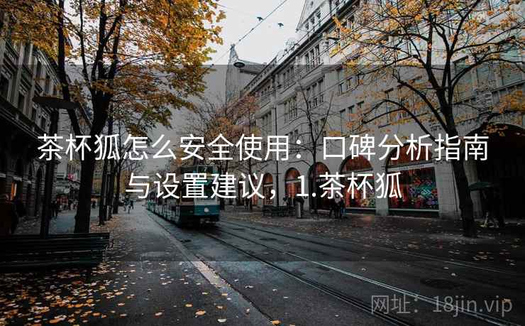 茶杯狐怎么安全使用：口碑分析指南与设置建议，1.茶杯狐