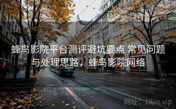 蜂鸟影院平台测评避坑要点 常见问题与处理思路,蜂鸟影院网络 蜂鸟影院平台测评避坑要点 常见问题与处理思路,蜂鸟影院网络