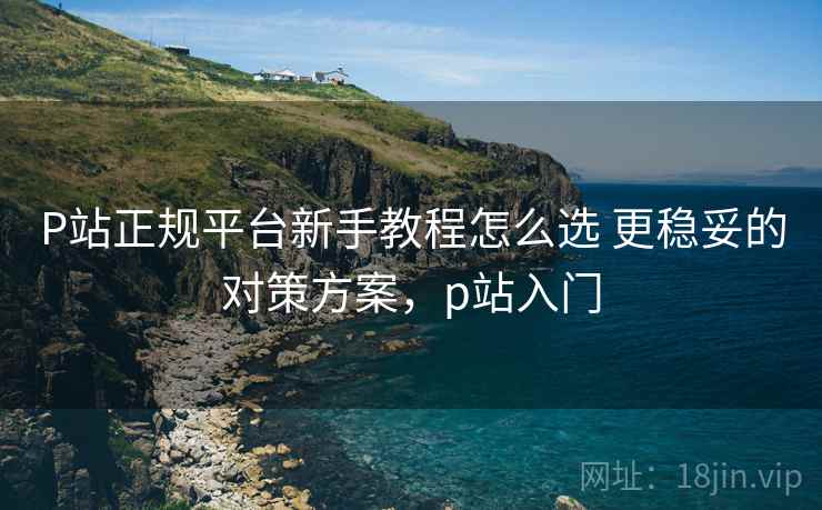 P站正规平台新手教程怎么选 更稳妥的对策方案,p站入门 P站正规平台新手教程怎么选 更稳妥的对策方案,p站入门