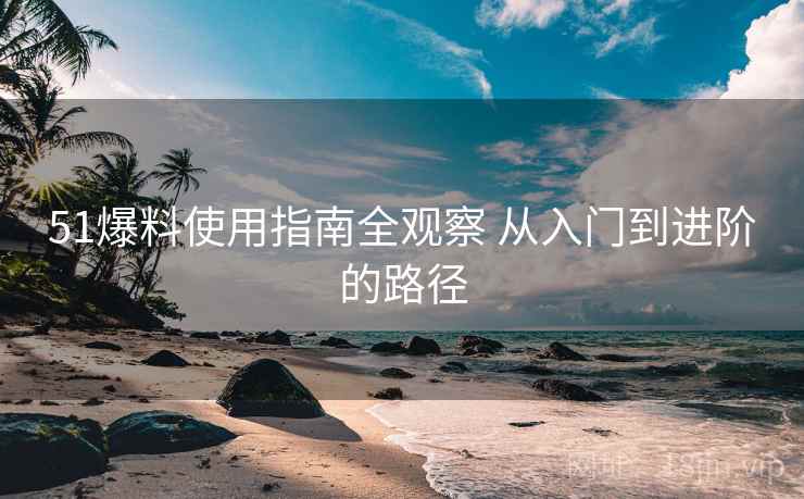 51爆料使用指南全观察 从入门到进阶的路径
