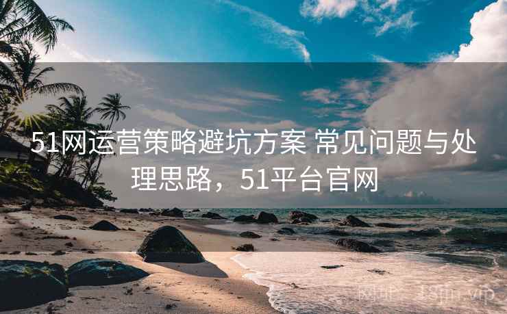 51网运营策略避坑方案 常见问题与处理思路，51平台官网