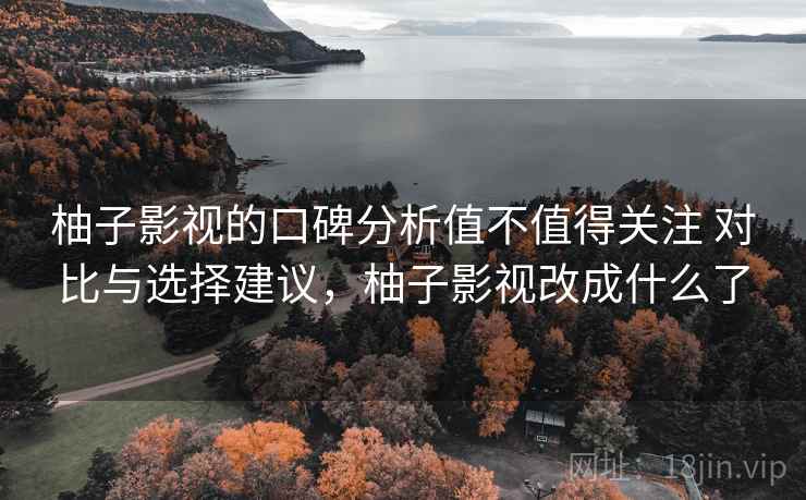 柚子影视的口碑分析值不值得关注 对比与选择建议，柚子影视改成什么了