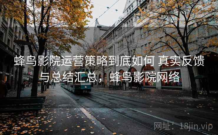 蜂鸟影院运营策略到底如何 真实反馈与总结汇总，蜂鸟影院网络