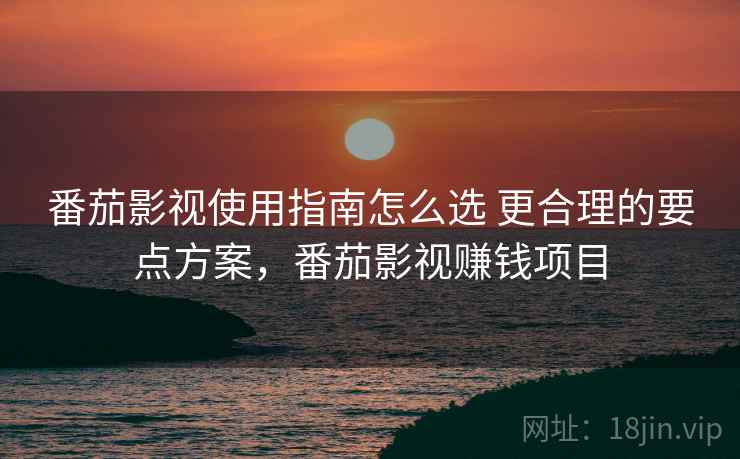 番茄影视使用指南怎么选 更合理的要点方案，番茄影视赚钱项目