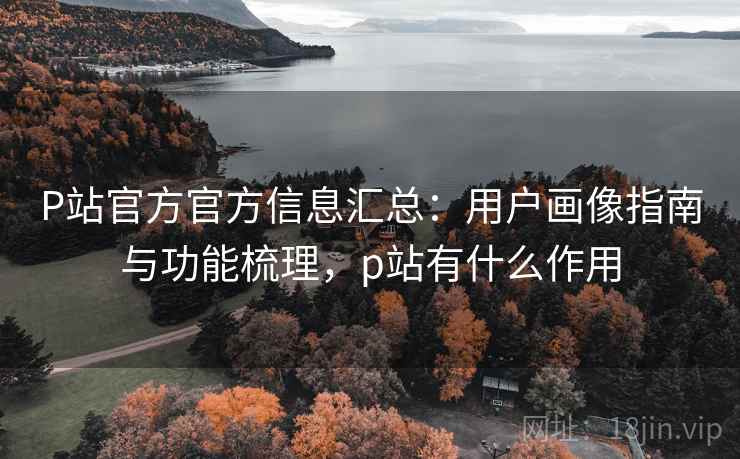 P站官方官方信息汇总：用户画像指南与功能梳理，p站有什么作用
