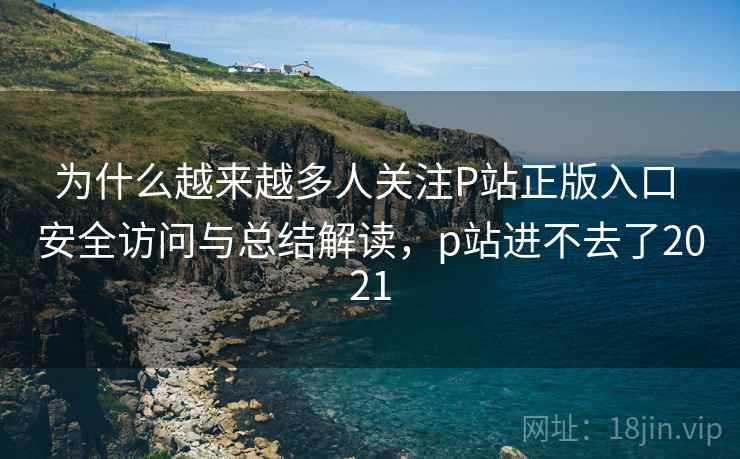 为什么越来越多人关注P站正版入口 安全访问与总结解读，p站进不去了2021
