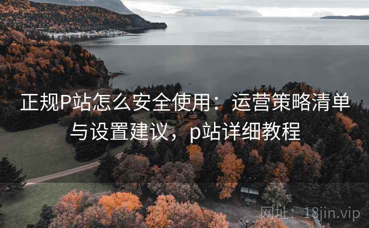 正规P站怎么安全使用：运营策略清单与设置建议，p站详细教程