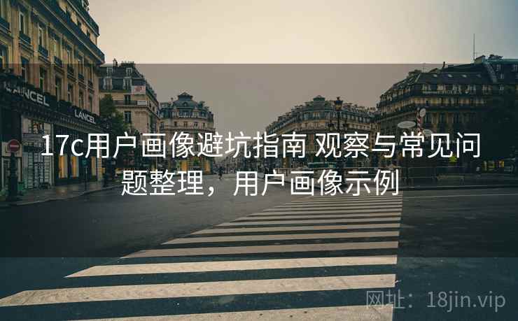 17c用户画像避坑指南 观察与常见问题整理,用户画像示例 17c用户画像避坑指南 观察与常见问题整理,用户画像示例